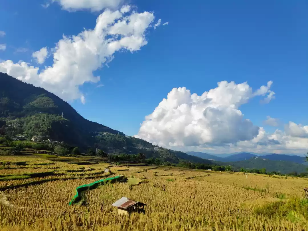 Photo of Field in kigwema