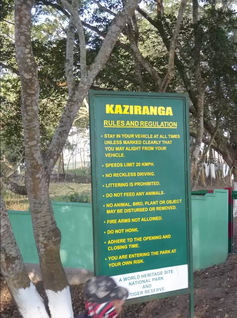 Photo of #Amazing Wild life t