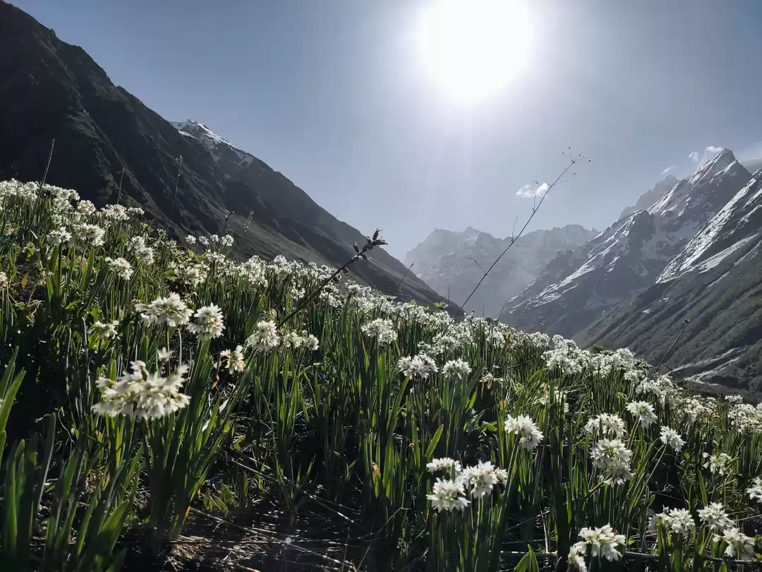 Photo of UNESCO World Heritag