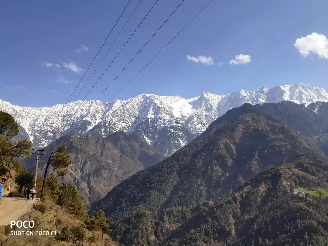 Photo of Amazing Trip