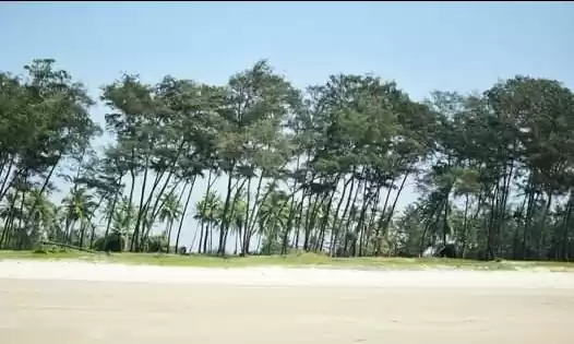 Photo of Goa..Our Sand Based 
