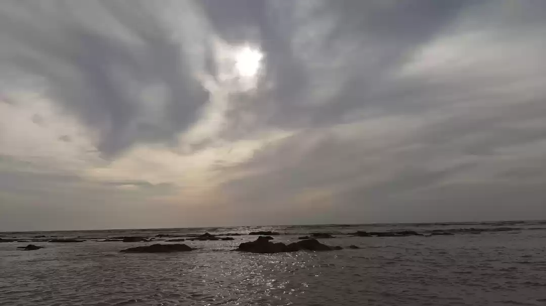 Photo of An unplanned and fir