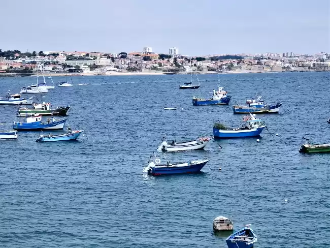 Photo of Beautiful Sintra & C