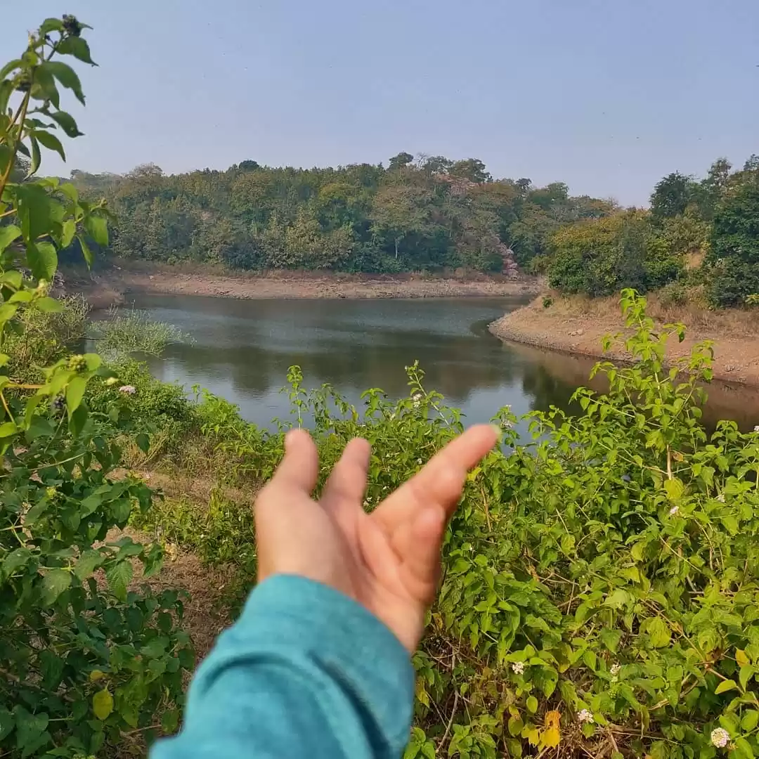 Photo of Bakor nature