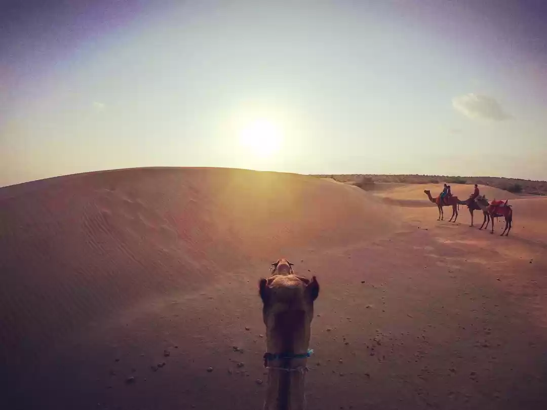 Photo of Scenic Route In Thar