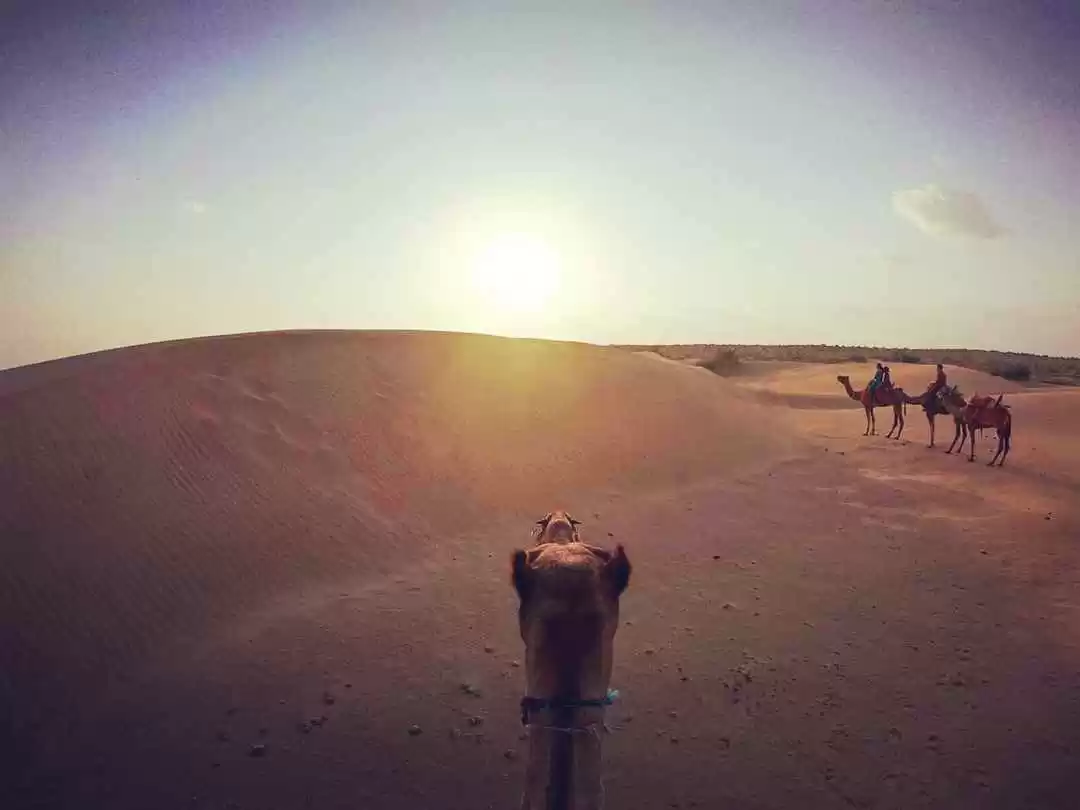 Photo of 4 Best Things to do 