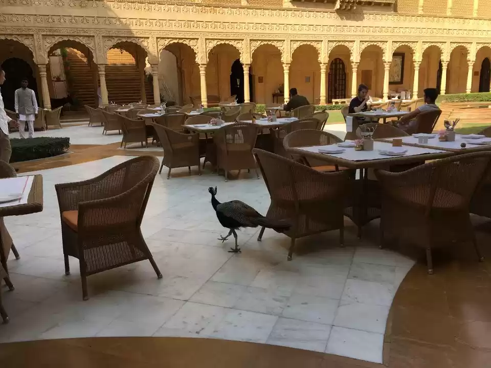 Photo of This Valentine Fall 