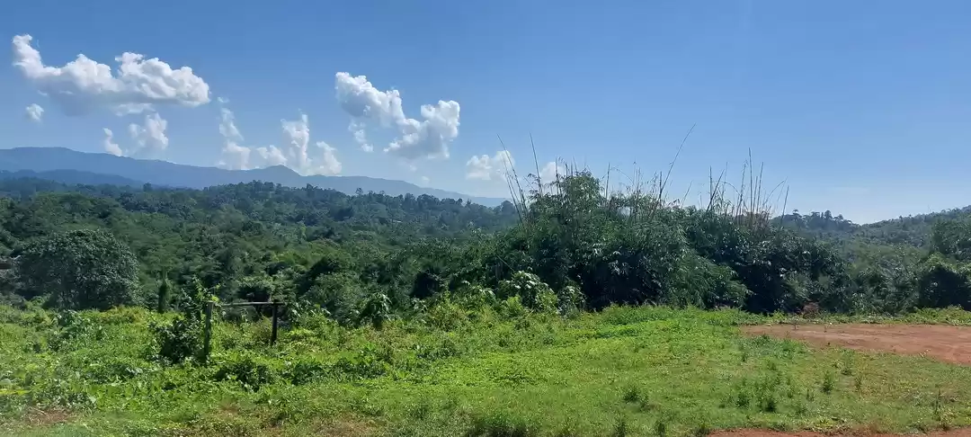 Photo of OFFROAD TO SINGHASON