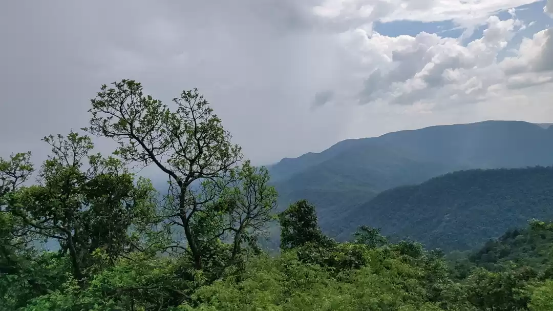 Photo of What happens in GOA