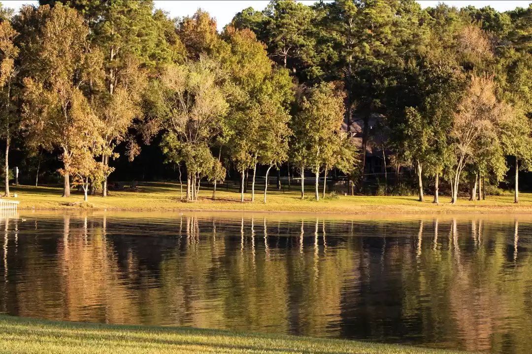 Photo of Captivating Conroe