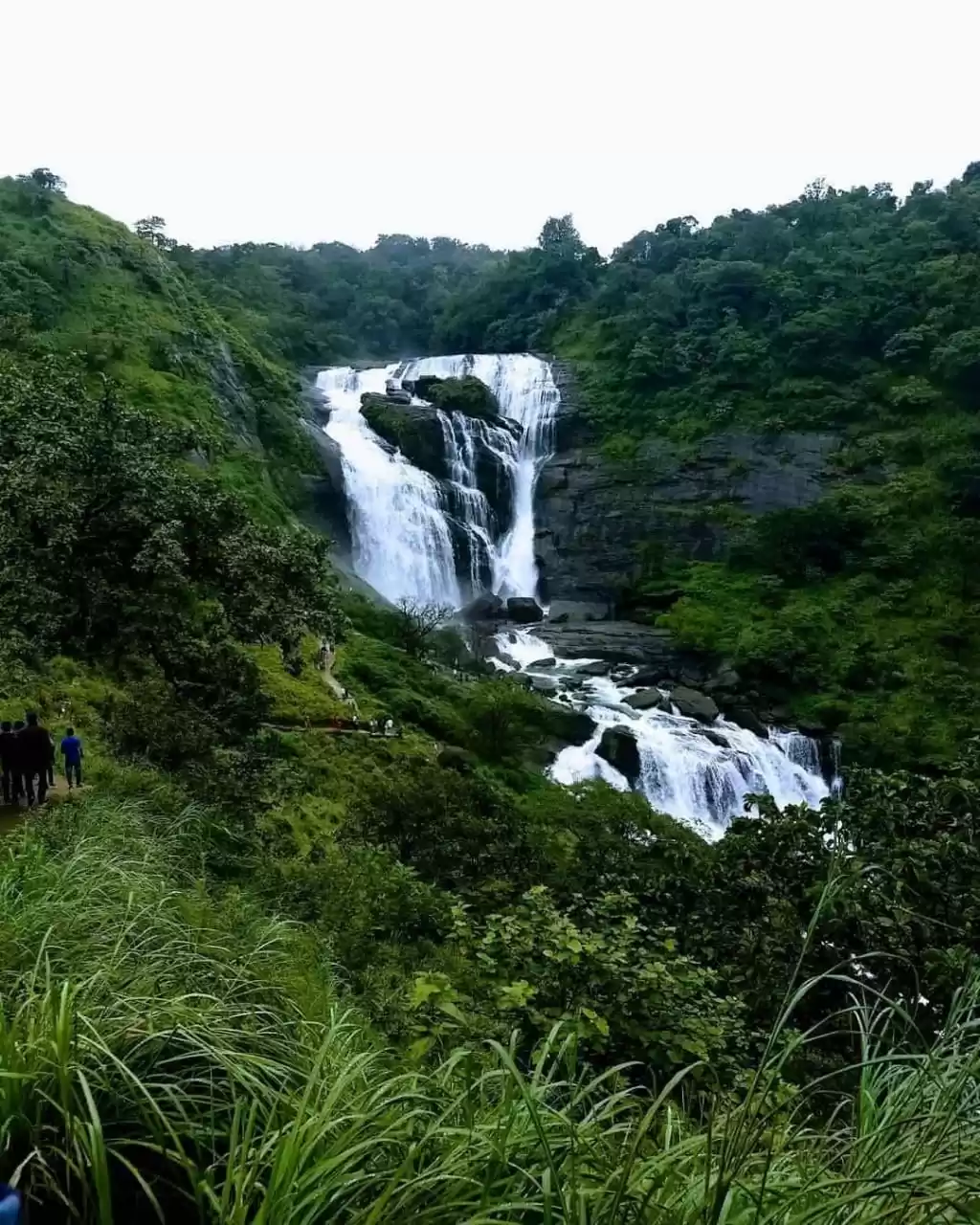 Photo of Mallalli Falls, Coor