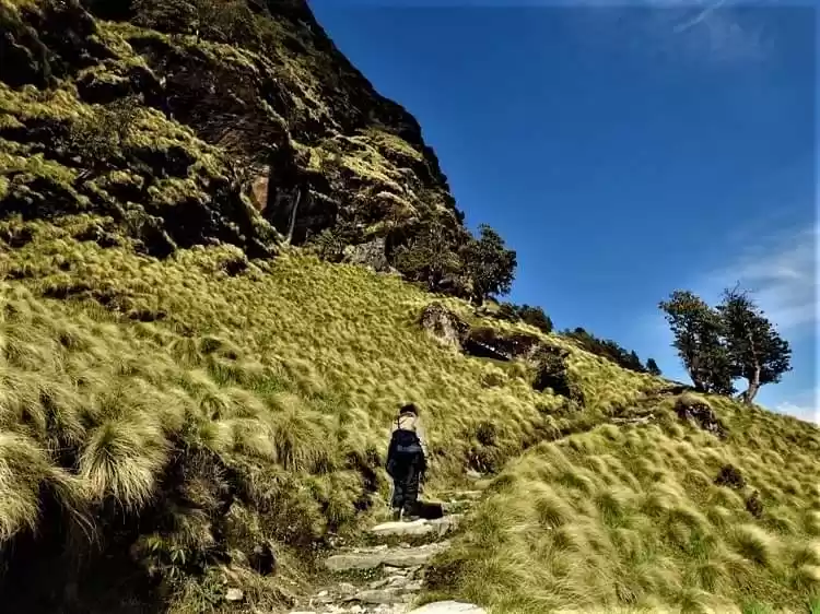 Photo of Rudranath Trek 2017