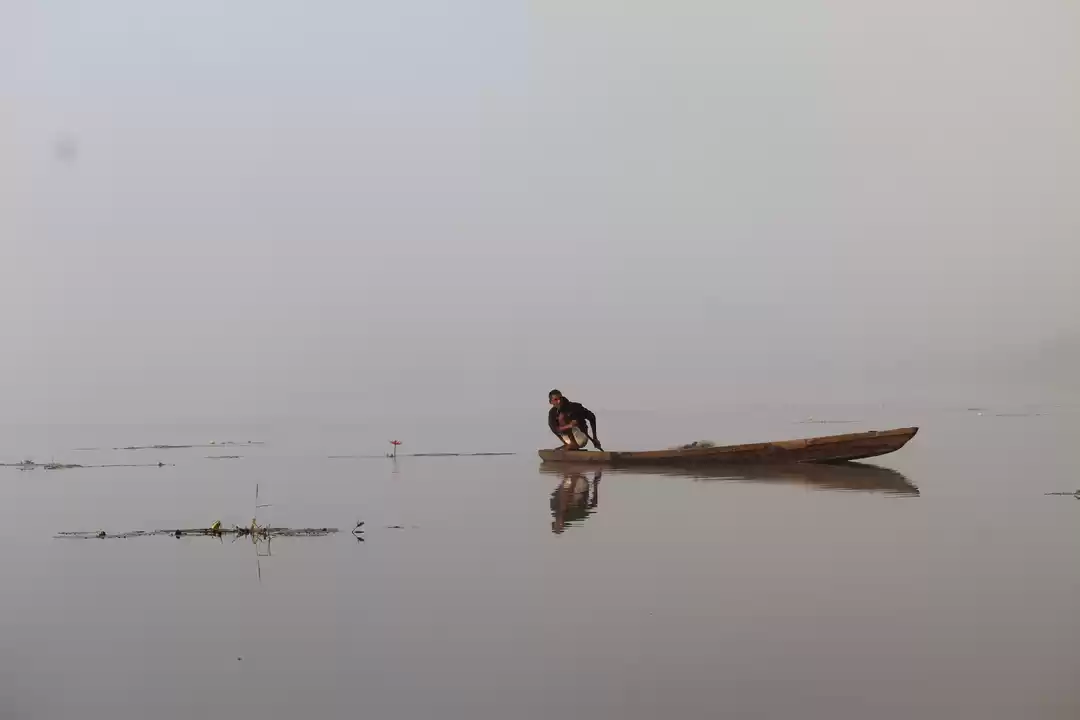 Photo of A Magical Experience