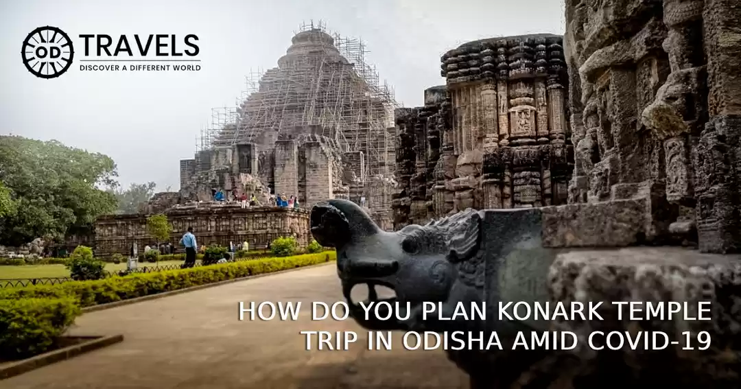 Photo of How Do You Plan Kona