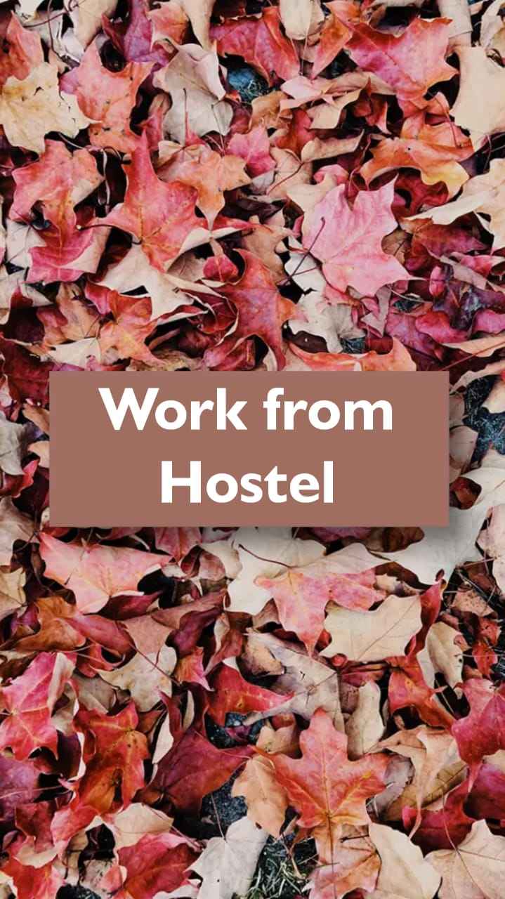 Hostel 1080P, 2K, 4K, 5K HD wallpapers free download | Wallpaper Flare
