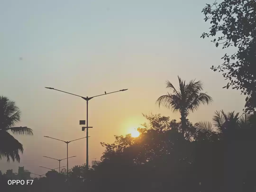 Photo of Early mornings of Ak