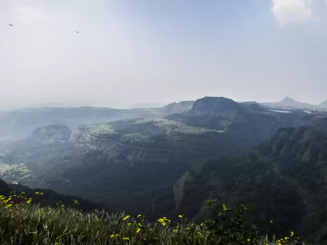 Photo of Lions Point