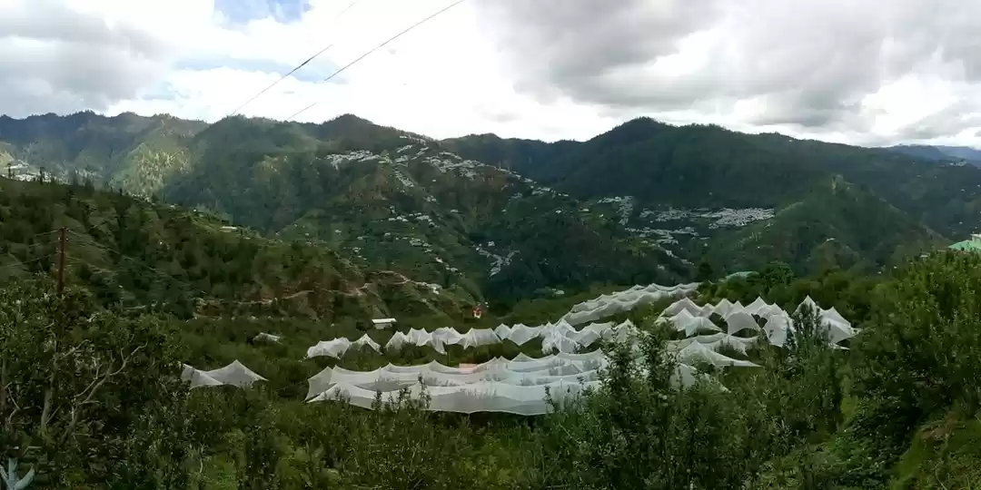 Photo of Kotkhai