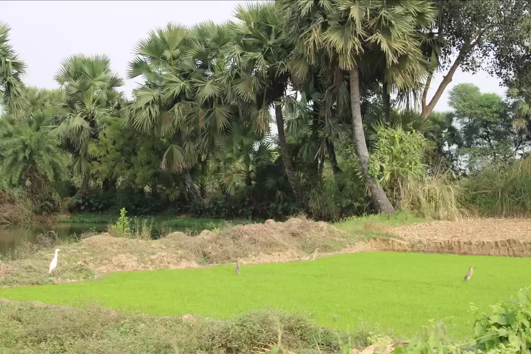 Photo of Murshidabad