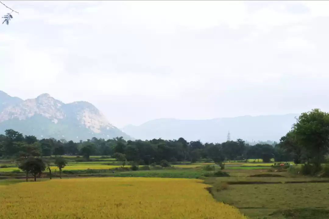 Photo of Sonkupi Banjara Camp