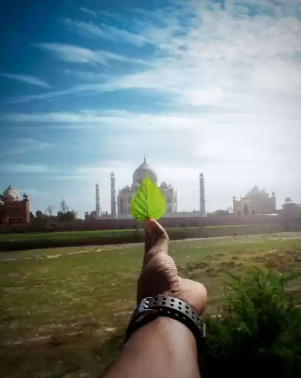 Photo of Taj Mahal : Evergree