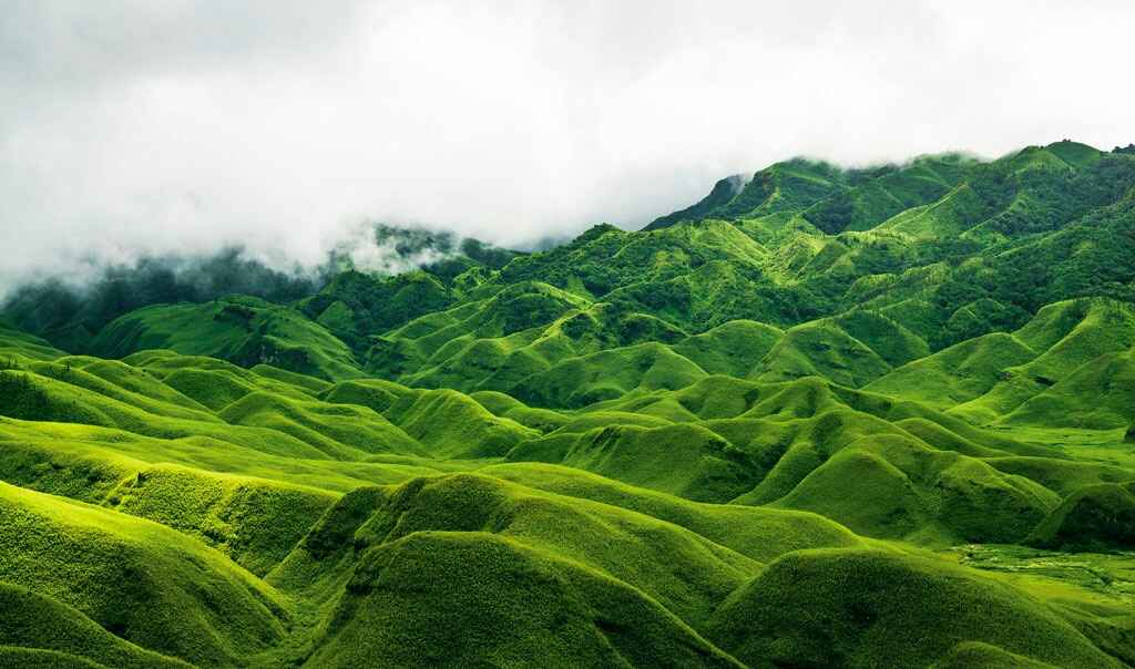 Dzukou Valley Trek, Nagaland | Book @ Flat 20% Off