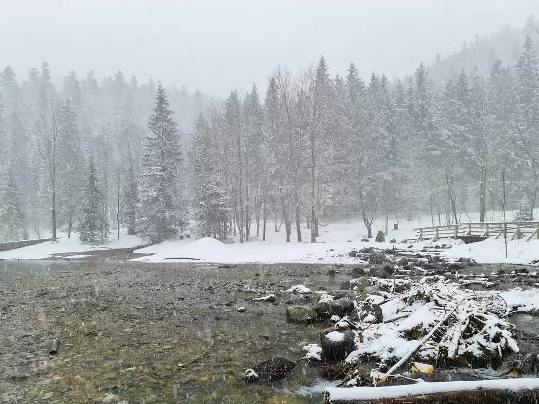 Photo of Winter Wonderland