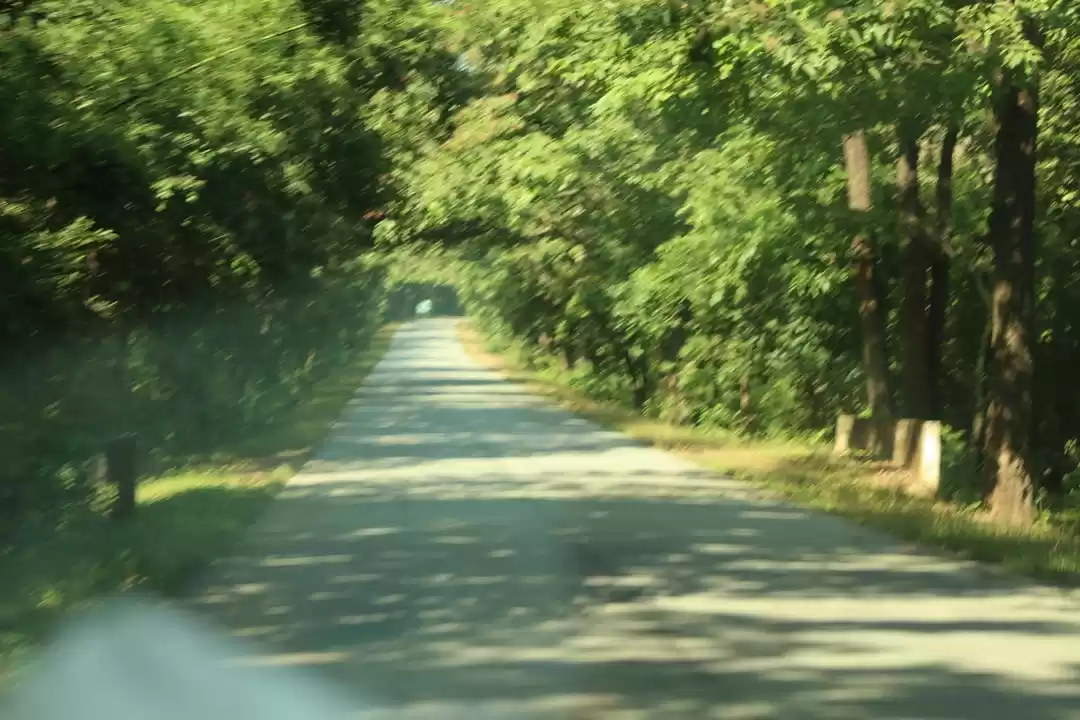 Photo of Go Goa Gone