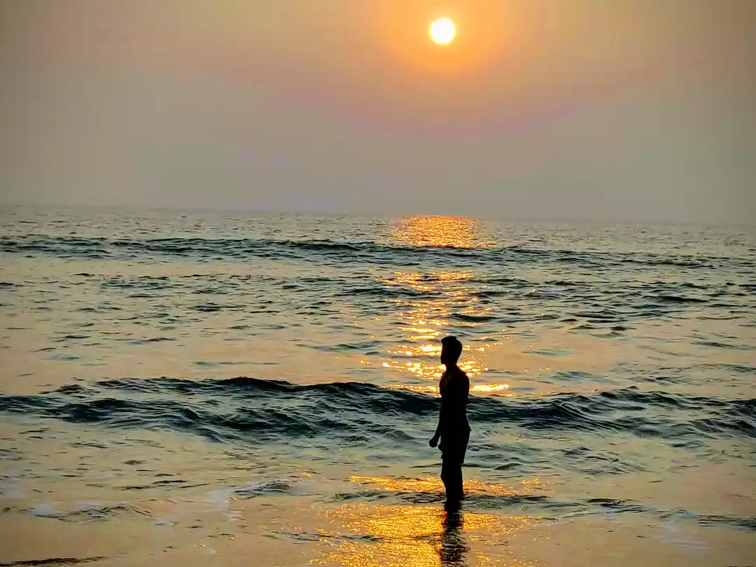 Photo of Goan Food Journey