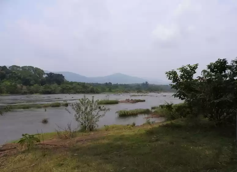 Photo of A weekend picnic in