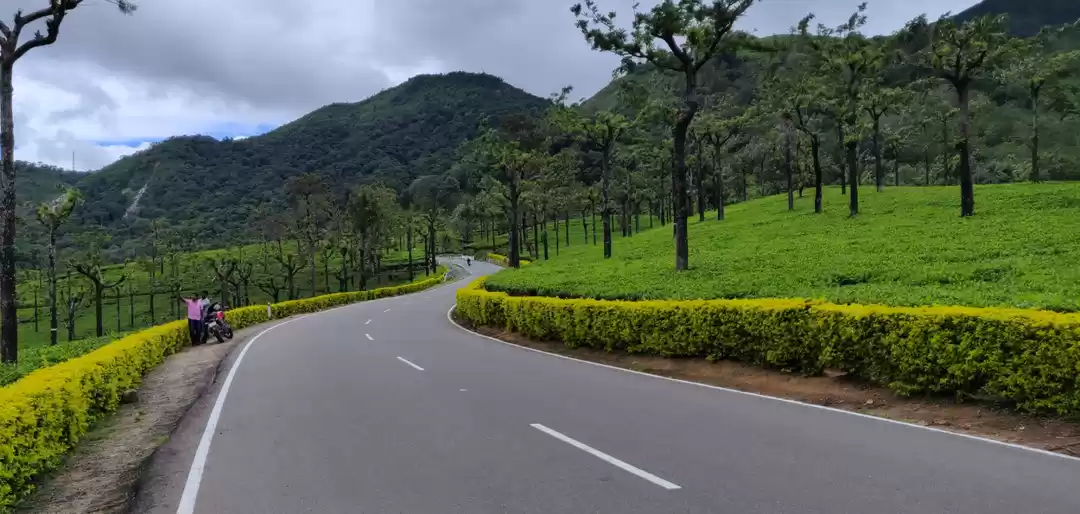 Photo of Elephant chase in mi