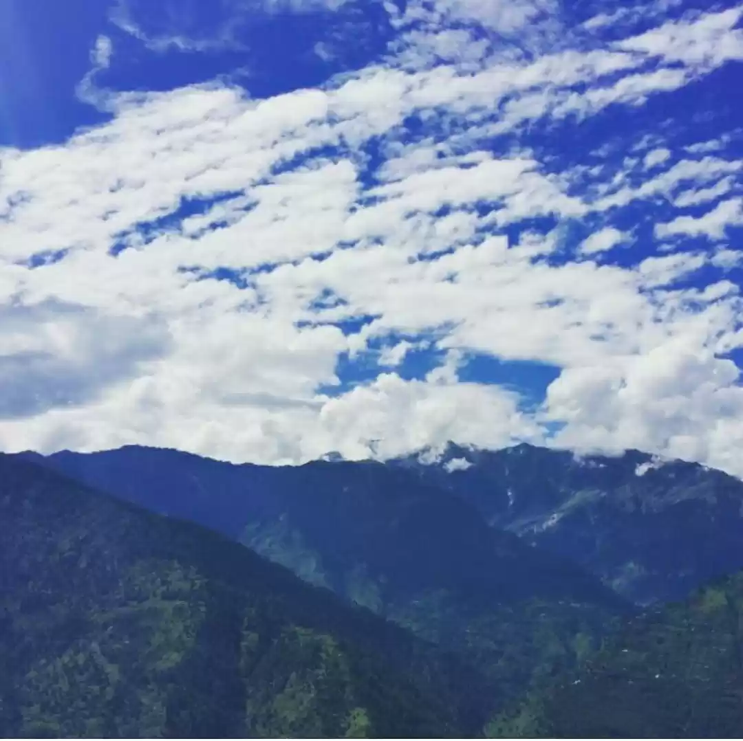 Photo of My First Himalayan T