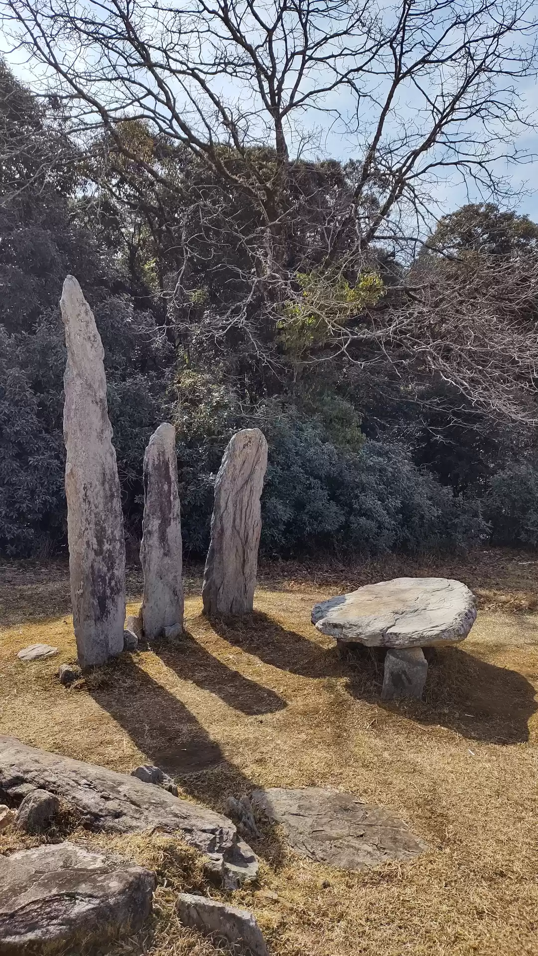 Photo of NEI (North East Indi