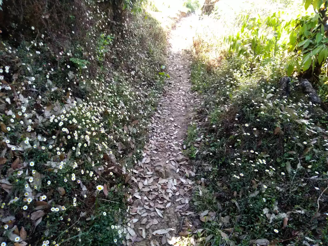 Photo of The beauty should 