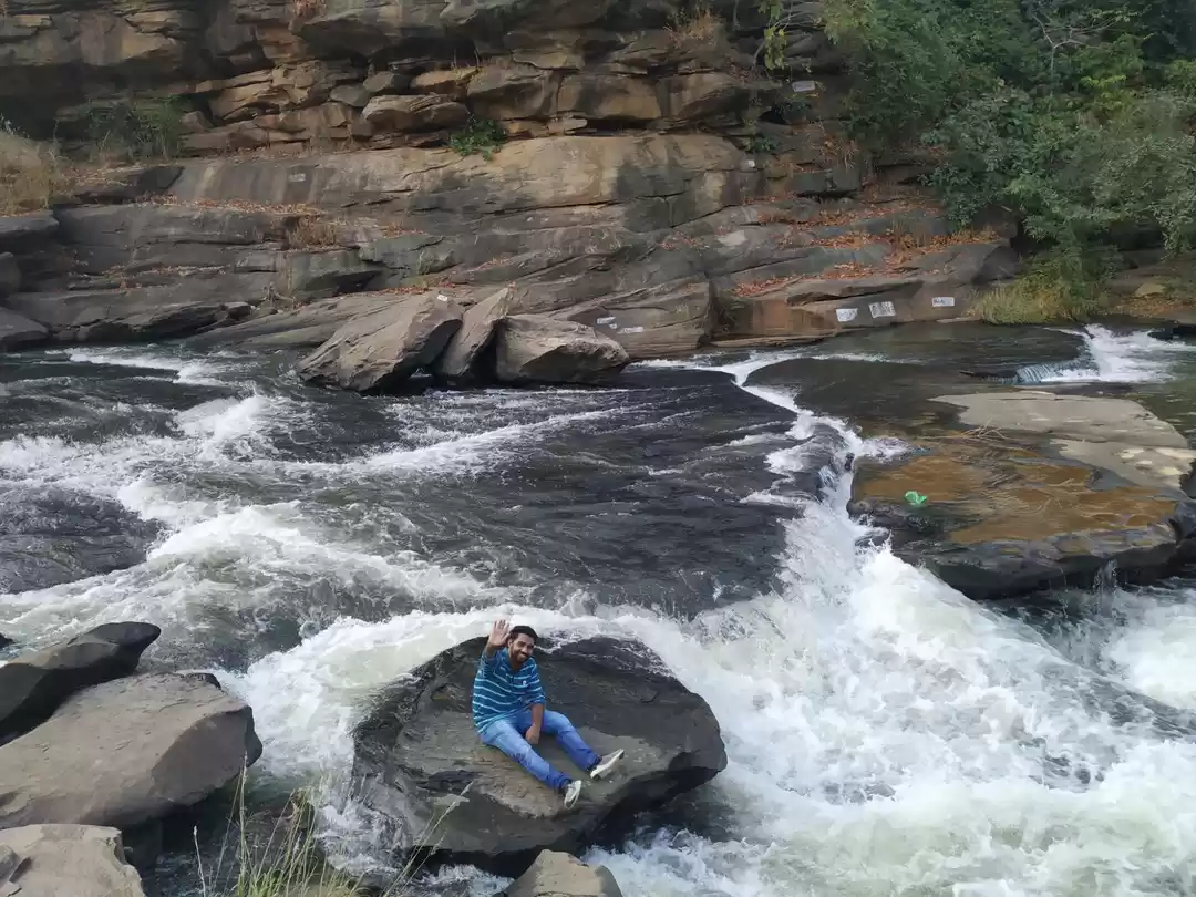 Photo of Nature is the life o