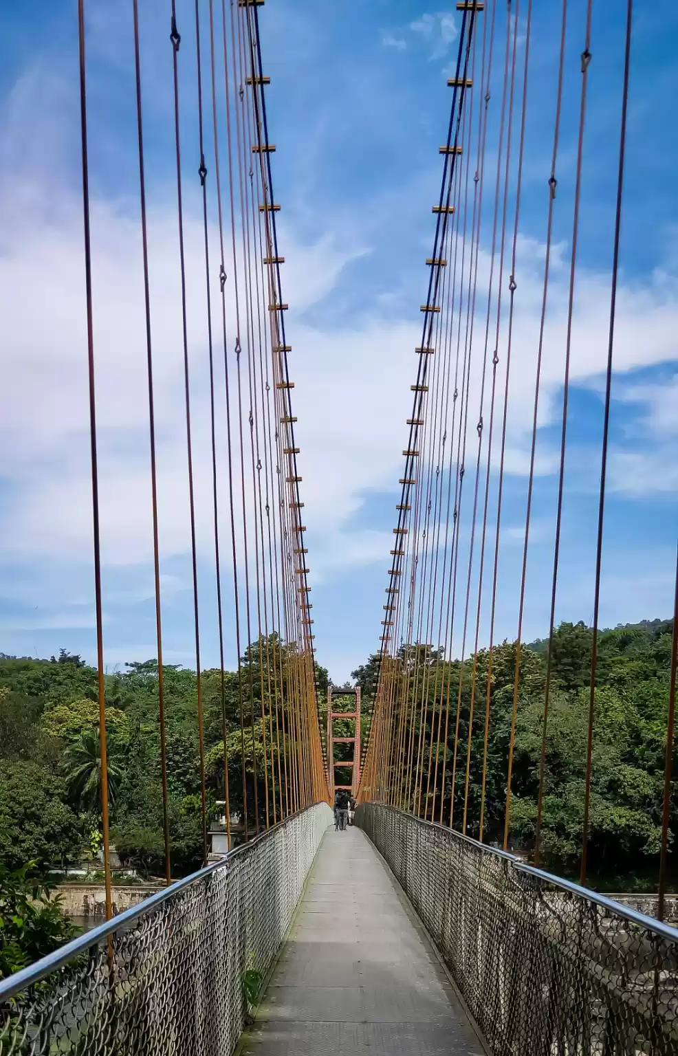 Photo of Ezhattumugham Prakri