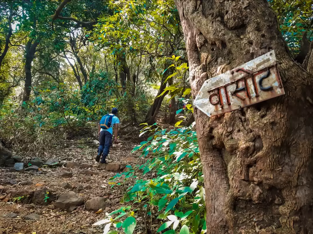 Photo of Vasota fort 