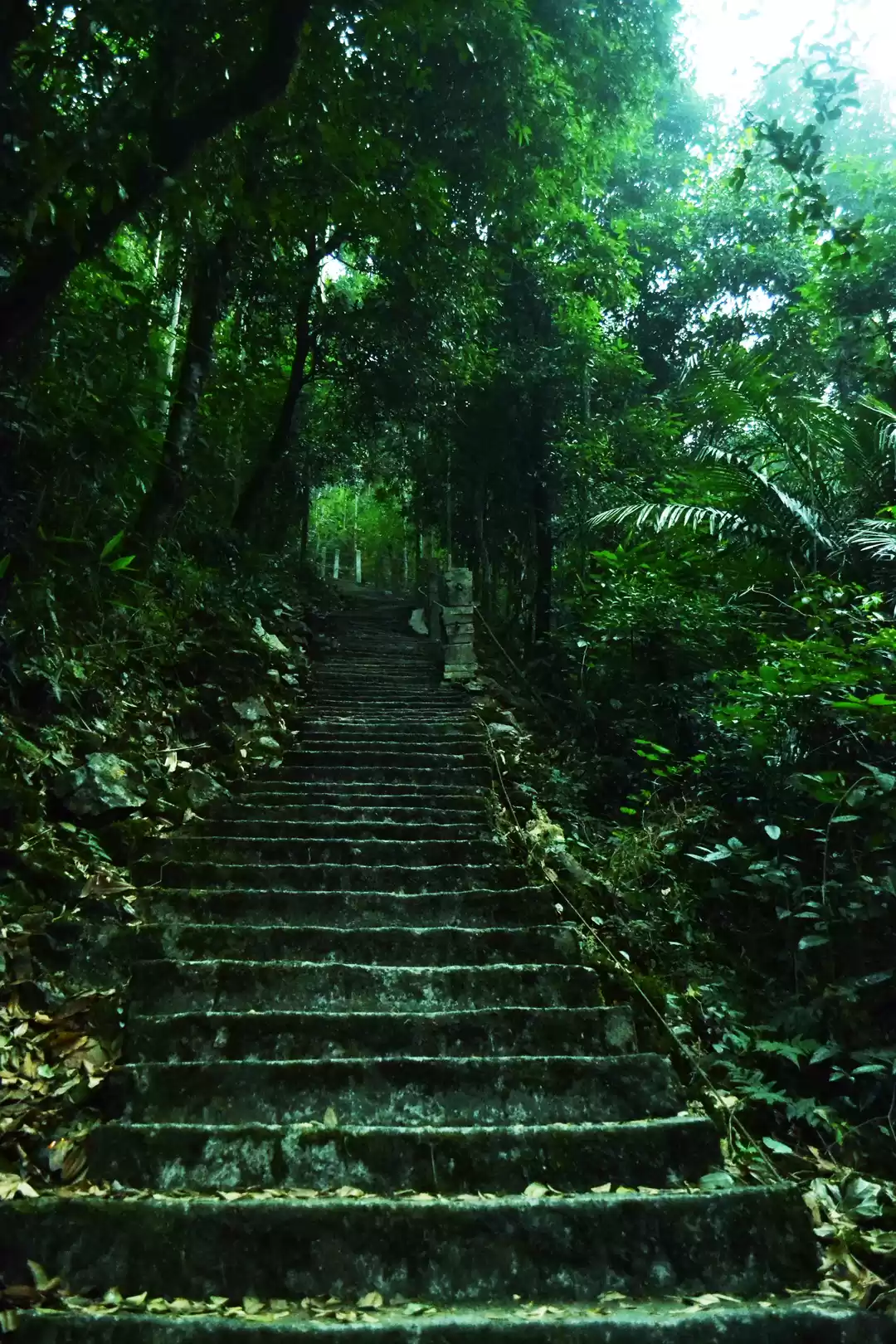 Photo of David Scott trail an