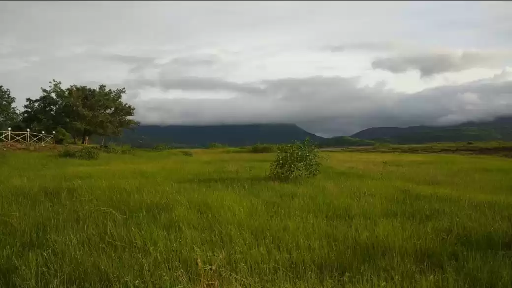 Photo of Pawana lake camping