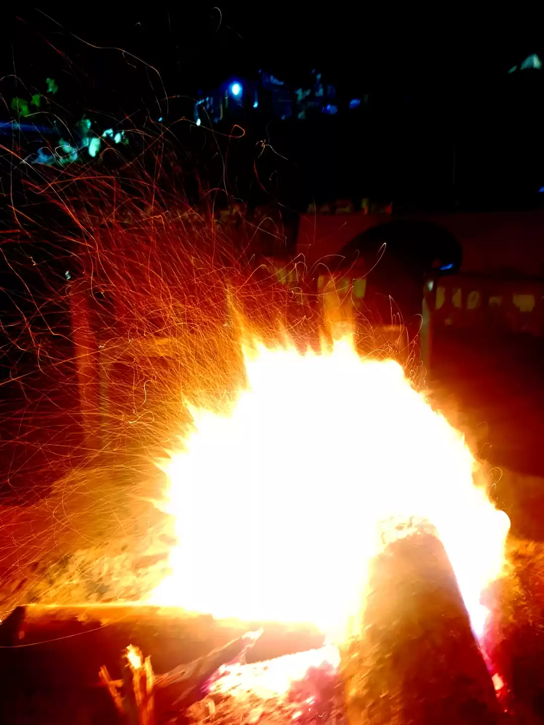 Photo of vatika luxury jungle