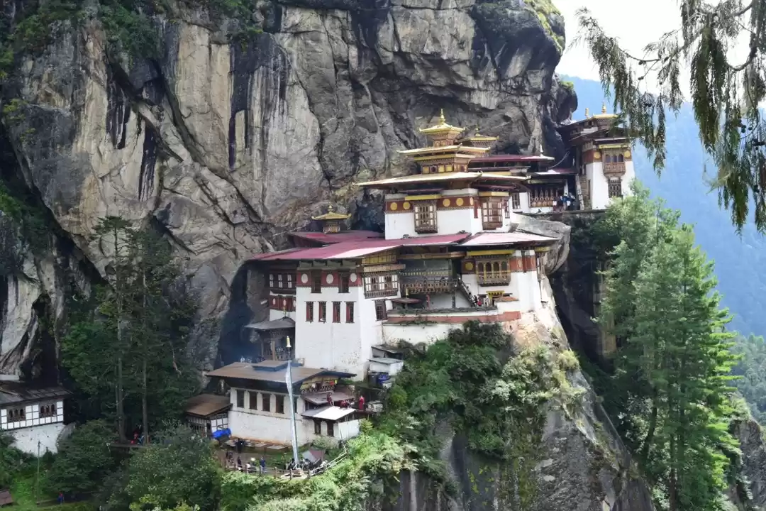 Photo of Ditch the tourist cr