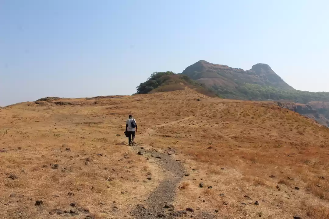 Photo of One day track