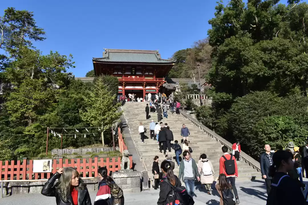 Photo of 日本 Japan