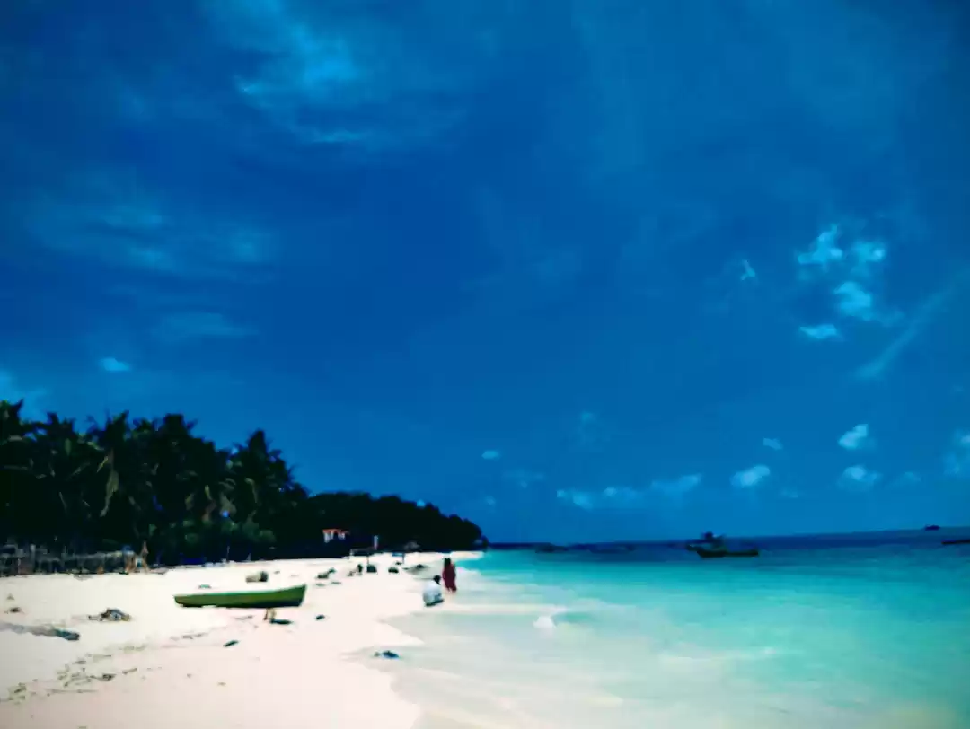 Photo of Why wail when you ca