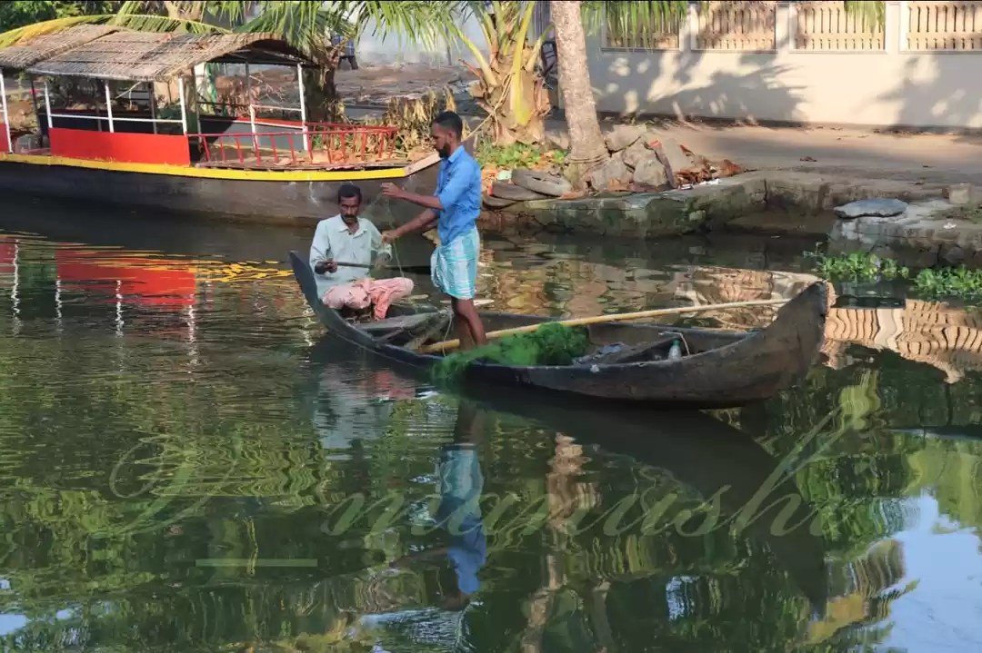 Photo of Amazing Trip