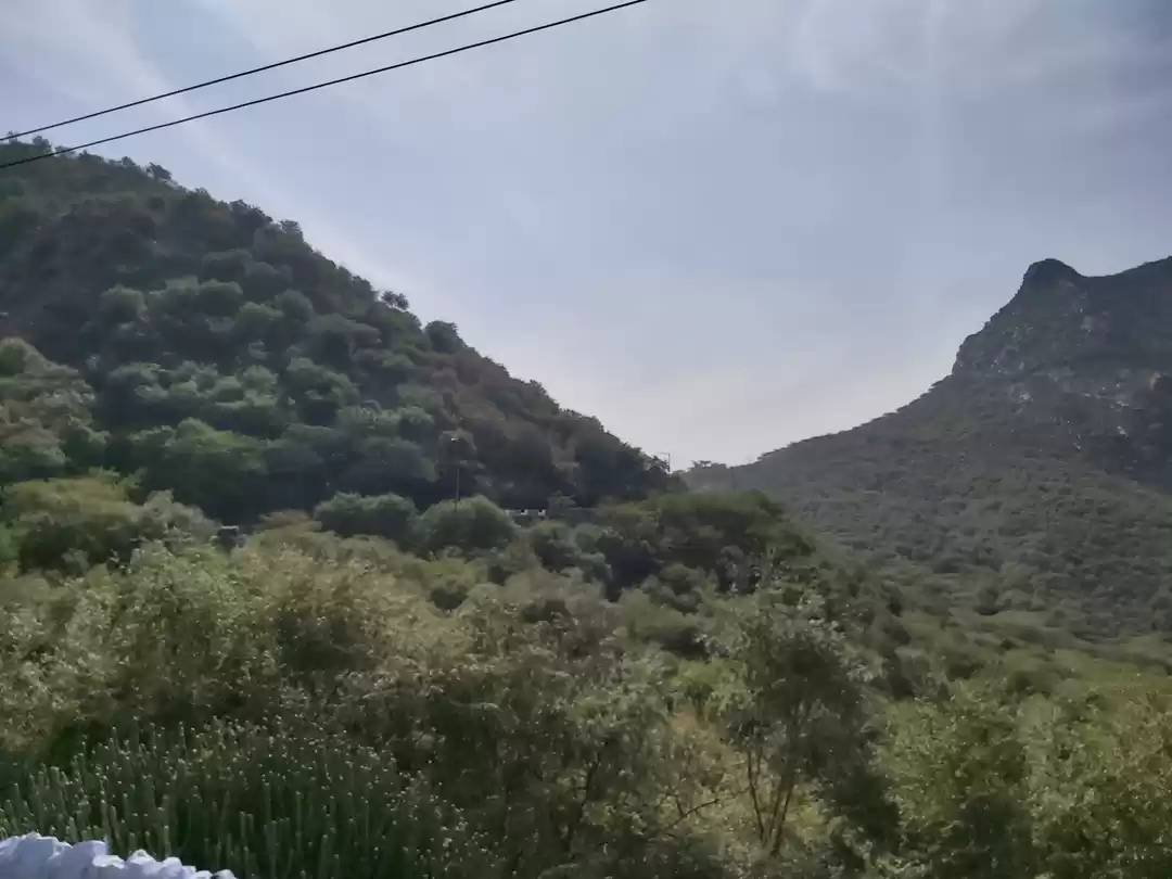 Photo of A heart breaking tal