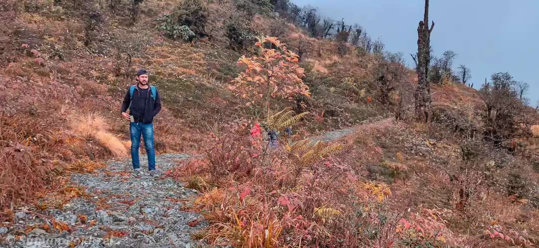 Photo of Trek to the Holy pea