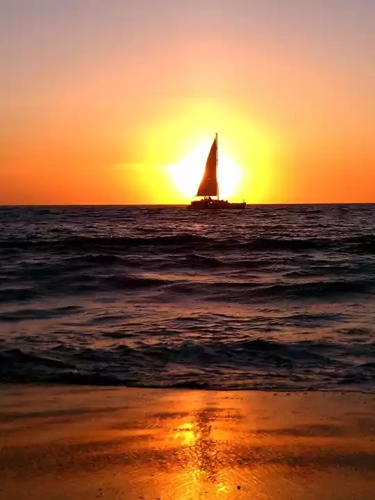 Photo of Rip The Current, Rid