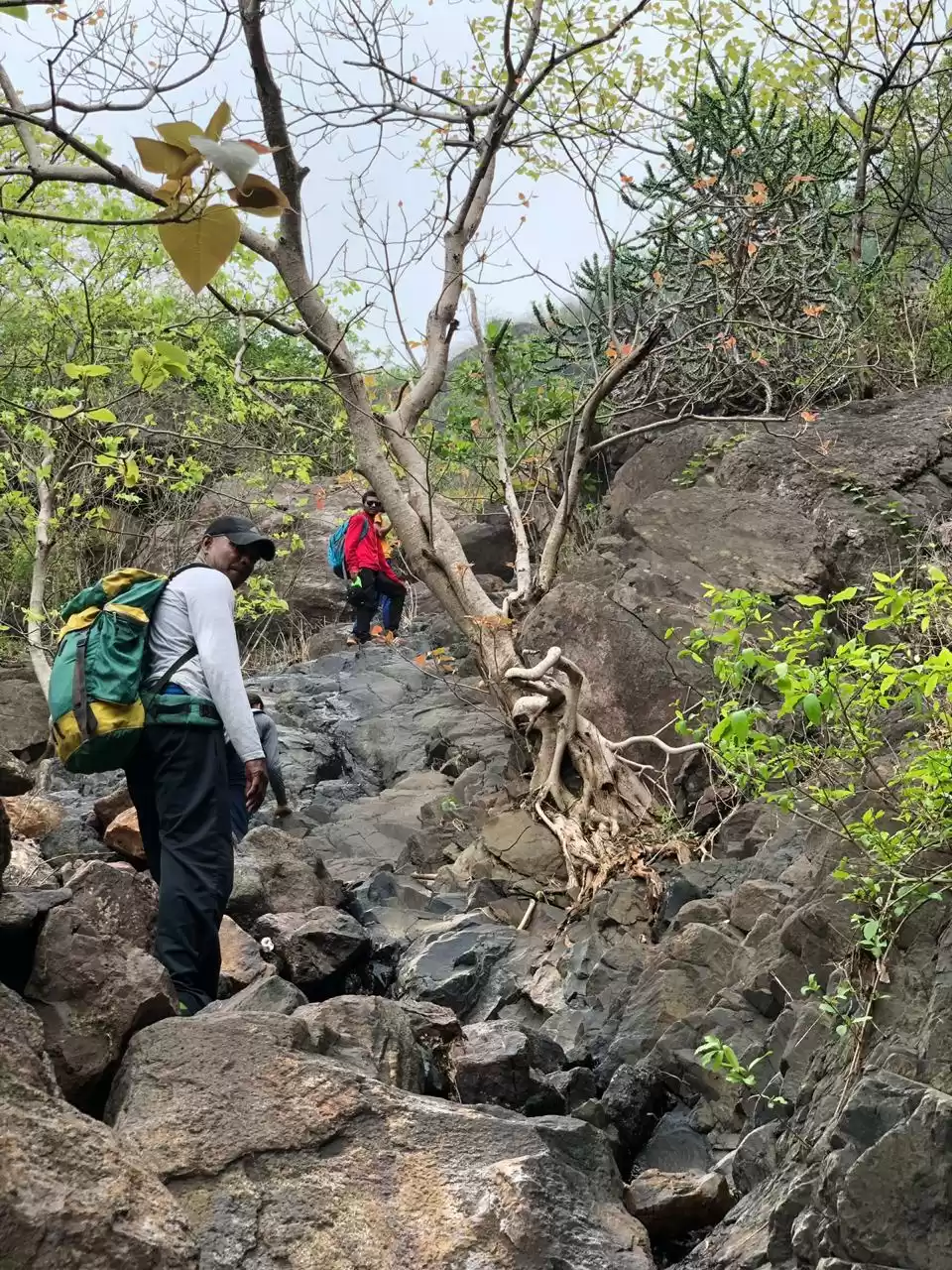 Photo of Rock climbing and tr