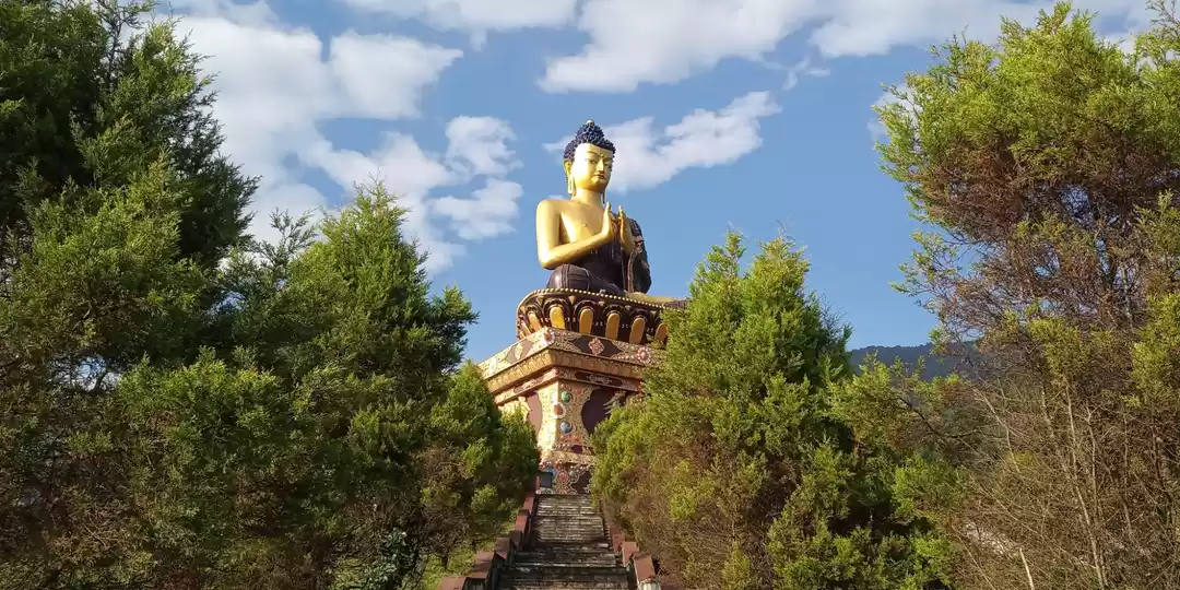 Photo of Buddha park